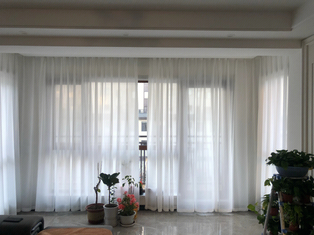 客厅挂一层纱帘效果图图片