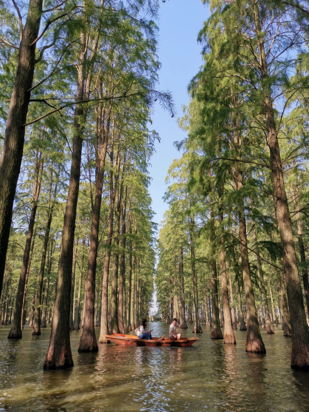 江都的渌洋湖湿地公园,地方不大,景区在慢慢建设中,相关的配套还没