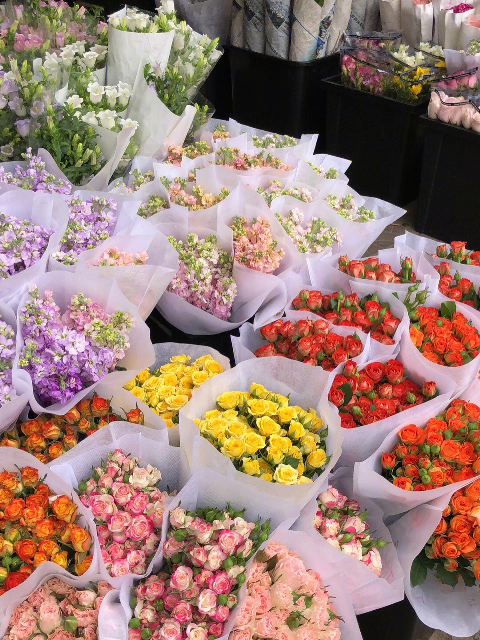 朱雀花卉市场图片