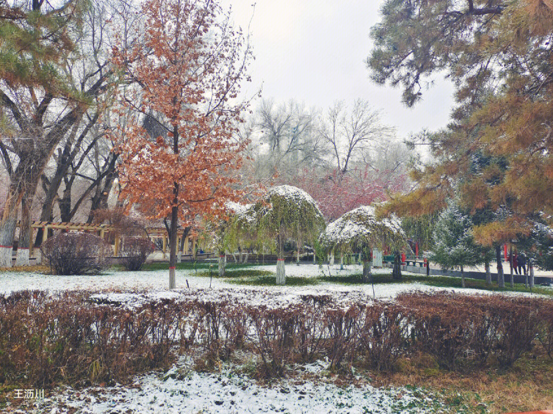 雪景2022数字图片图片