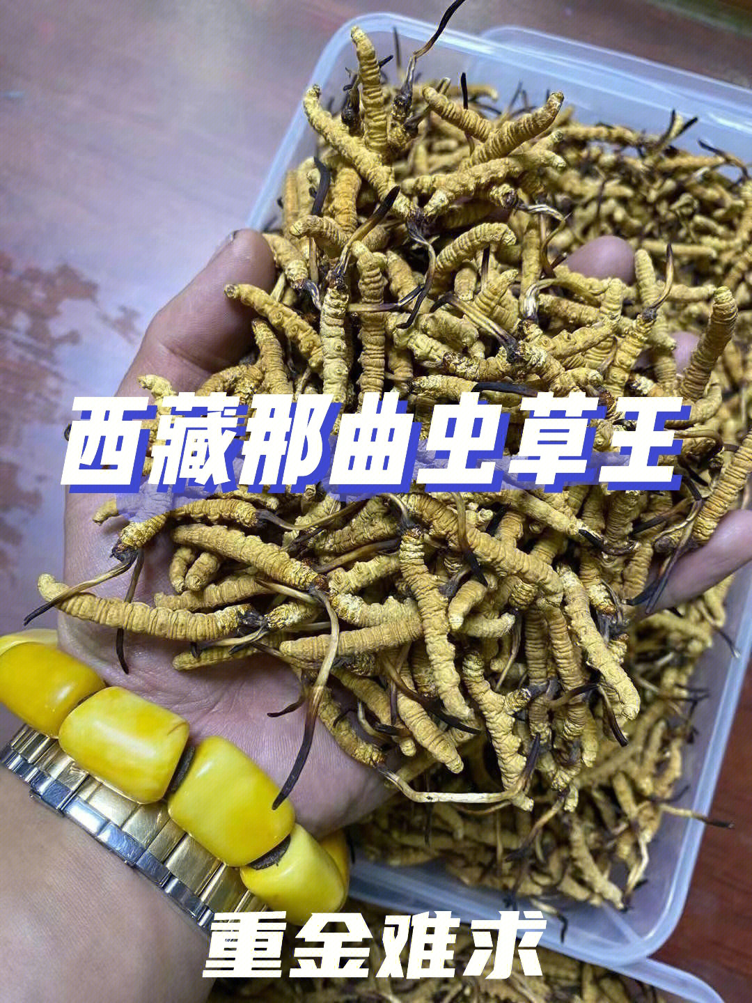 金预康补王虫草精禁忌图片