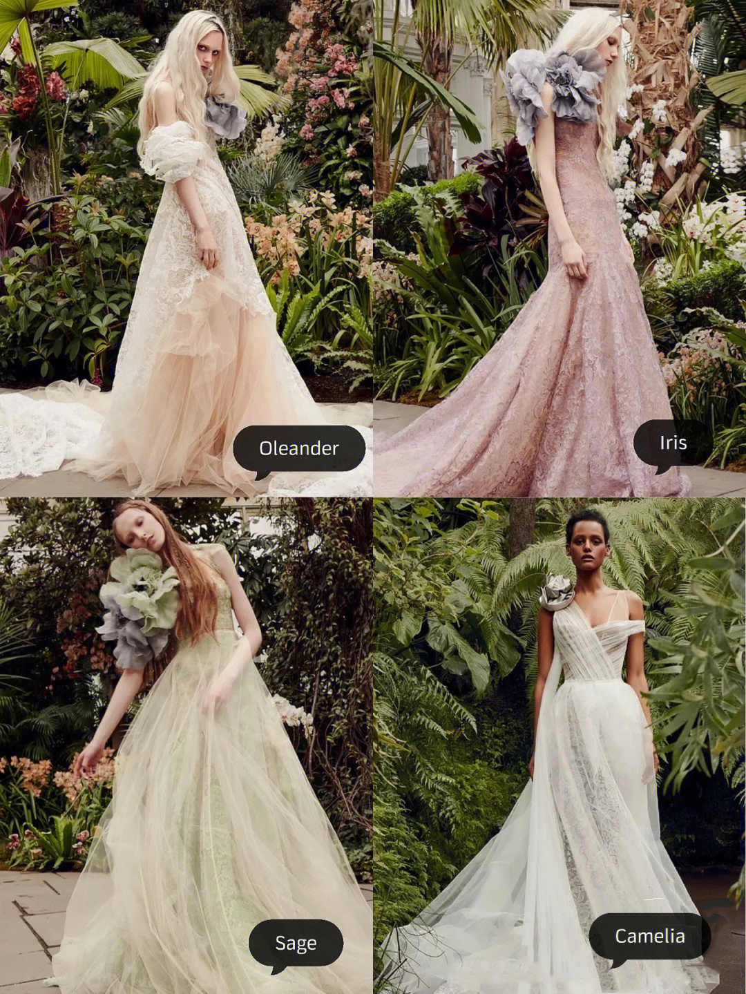 enchantment 迷魅 为夏日而来vera wang haute 春夏婚纱系列,一种从