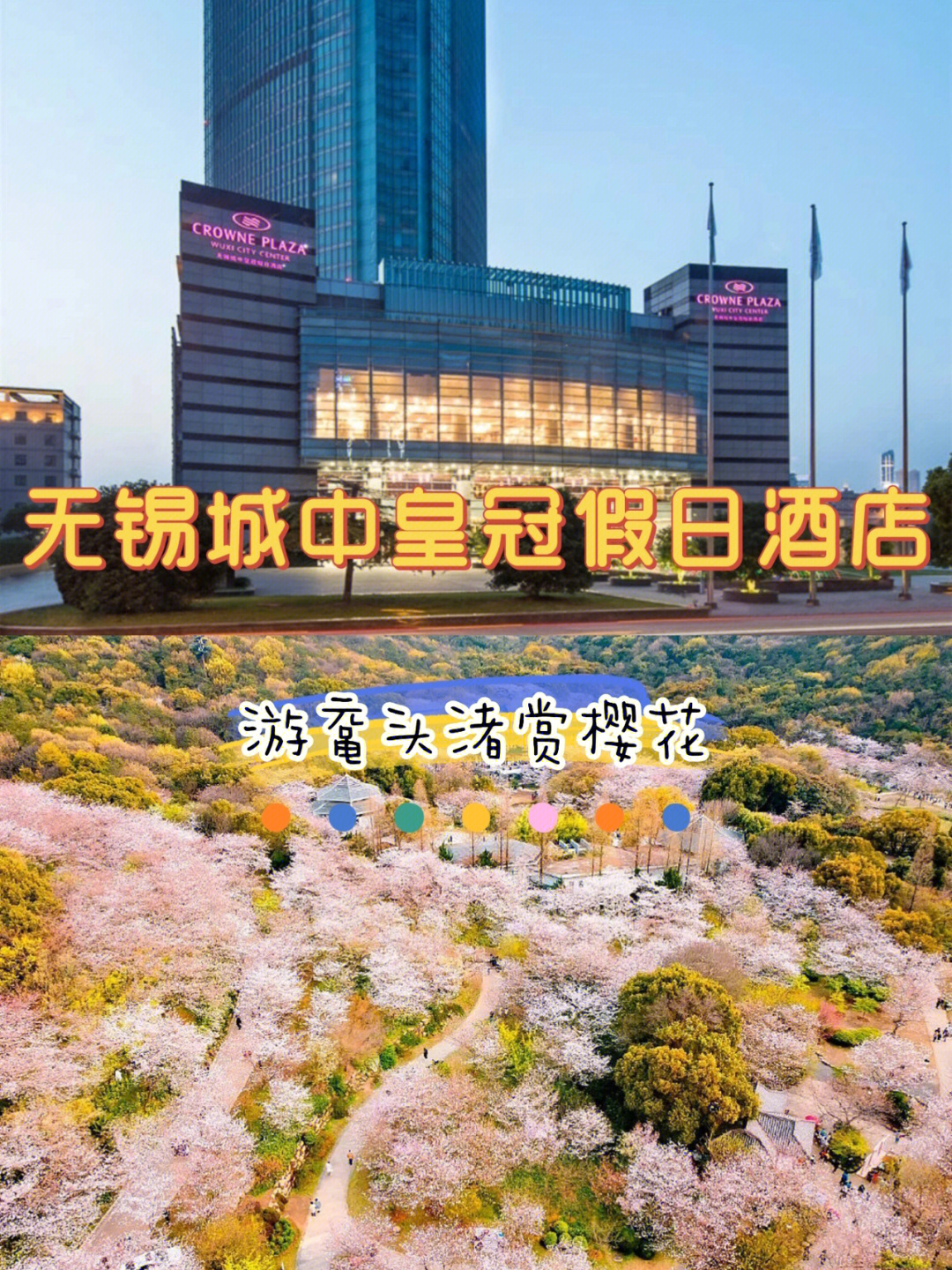 观鼋头渚樱花住无锡城中皇冠假日酒店