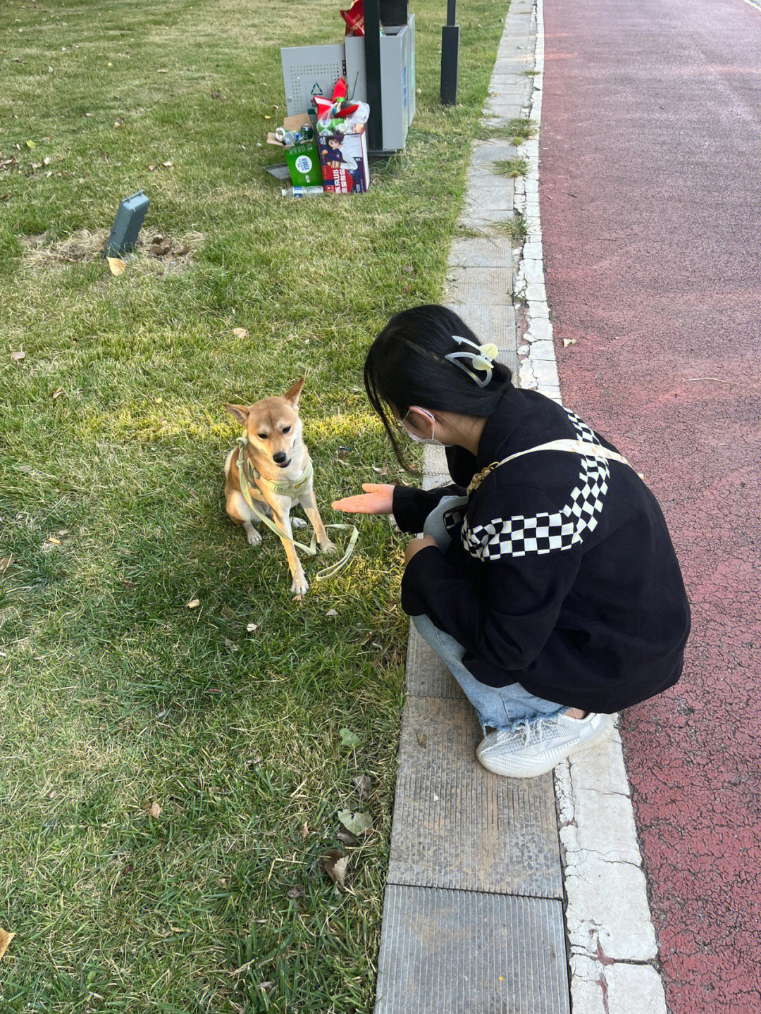 你们家的狗狗会握手吗