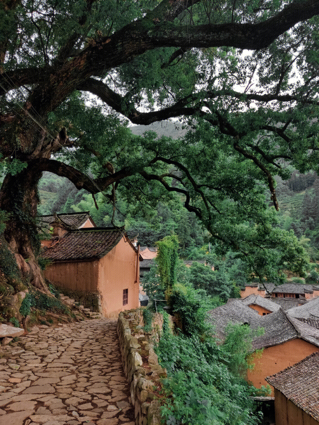 杨家堂村地图图片