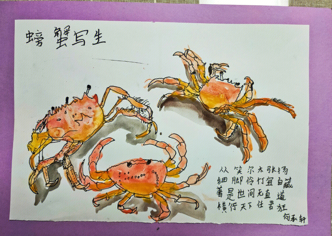儿童水墨画人物螃蟹图片