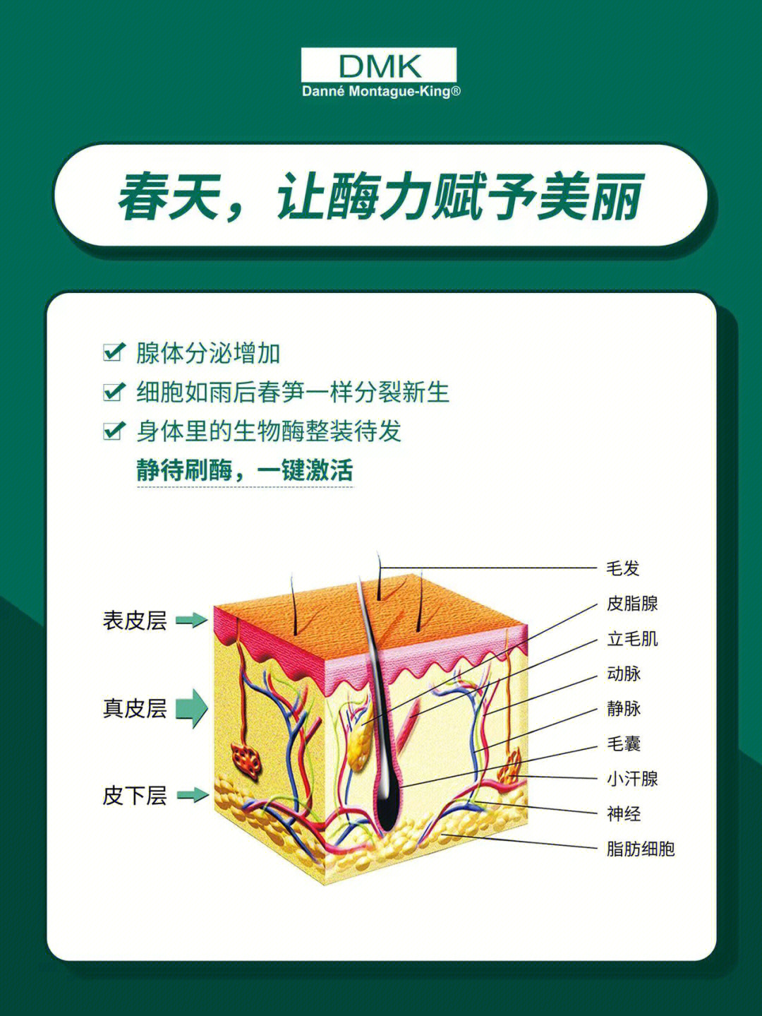 微血流紊乱示意图骗局图片