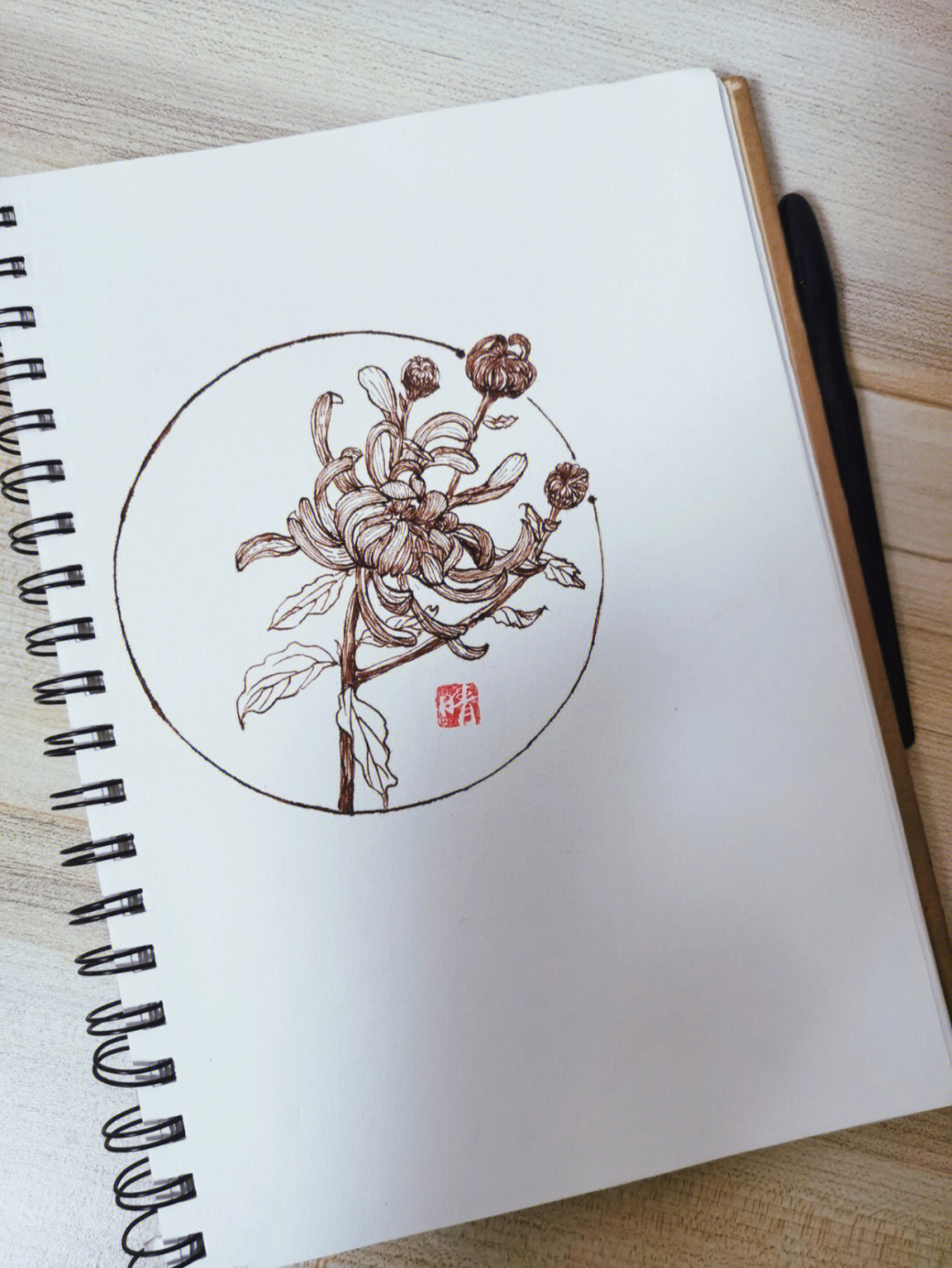 钢笔速写一枝菊花