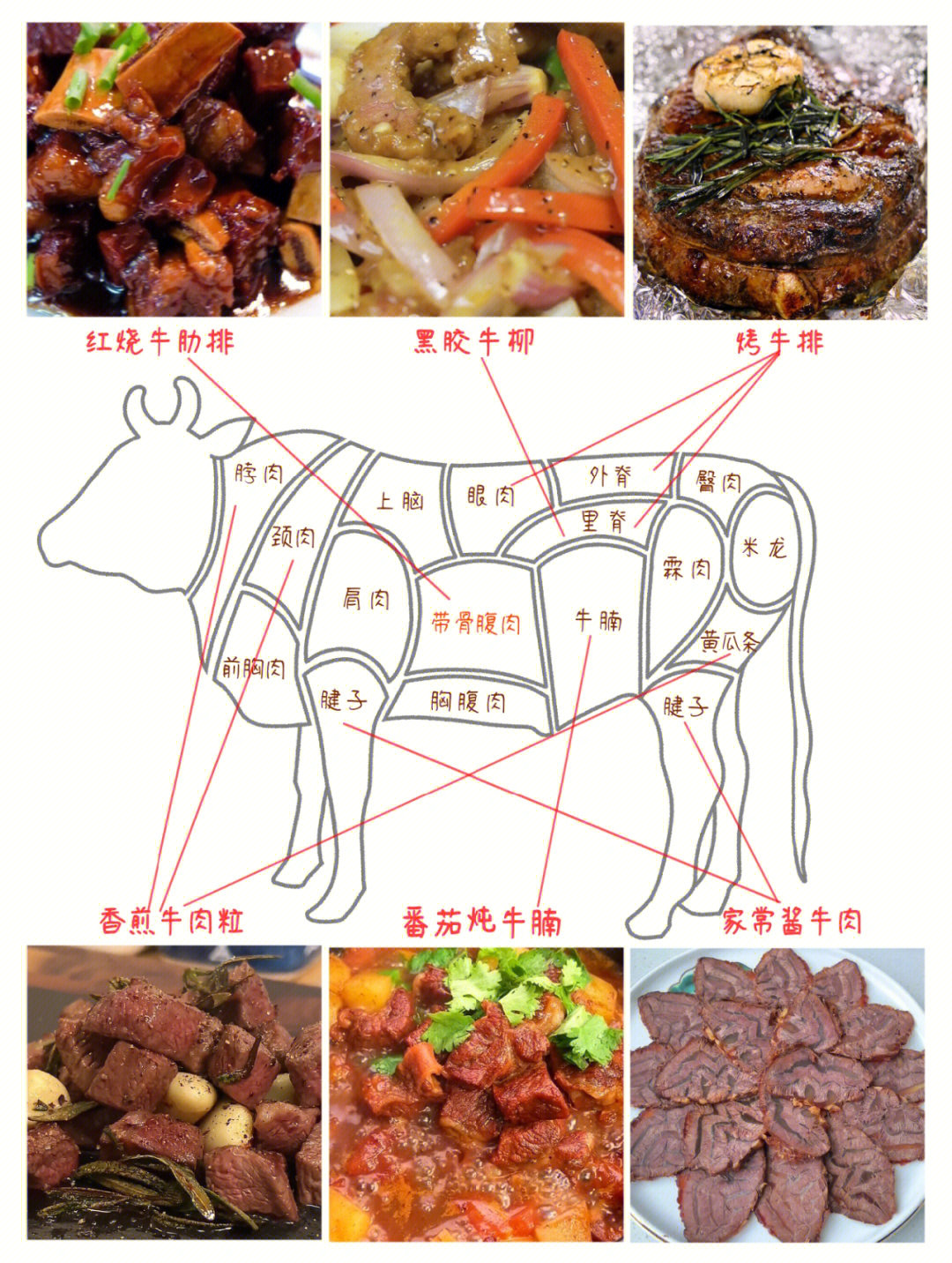 牛肉分割与做法09买牛的哪部位肉合适71