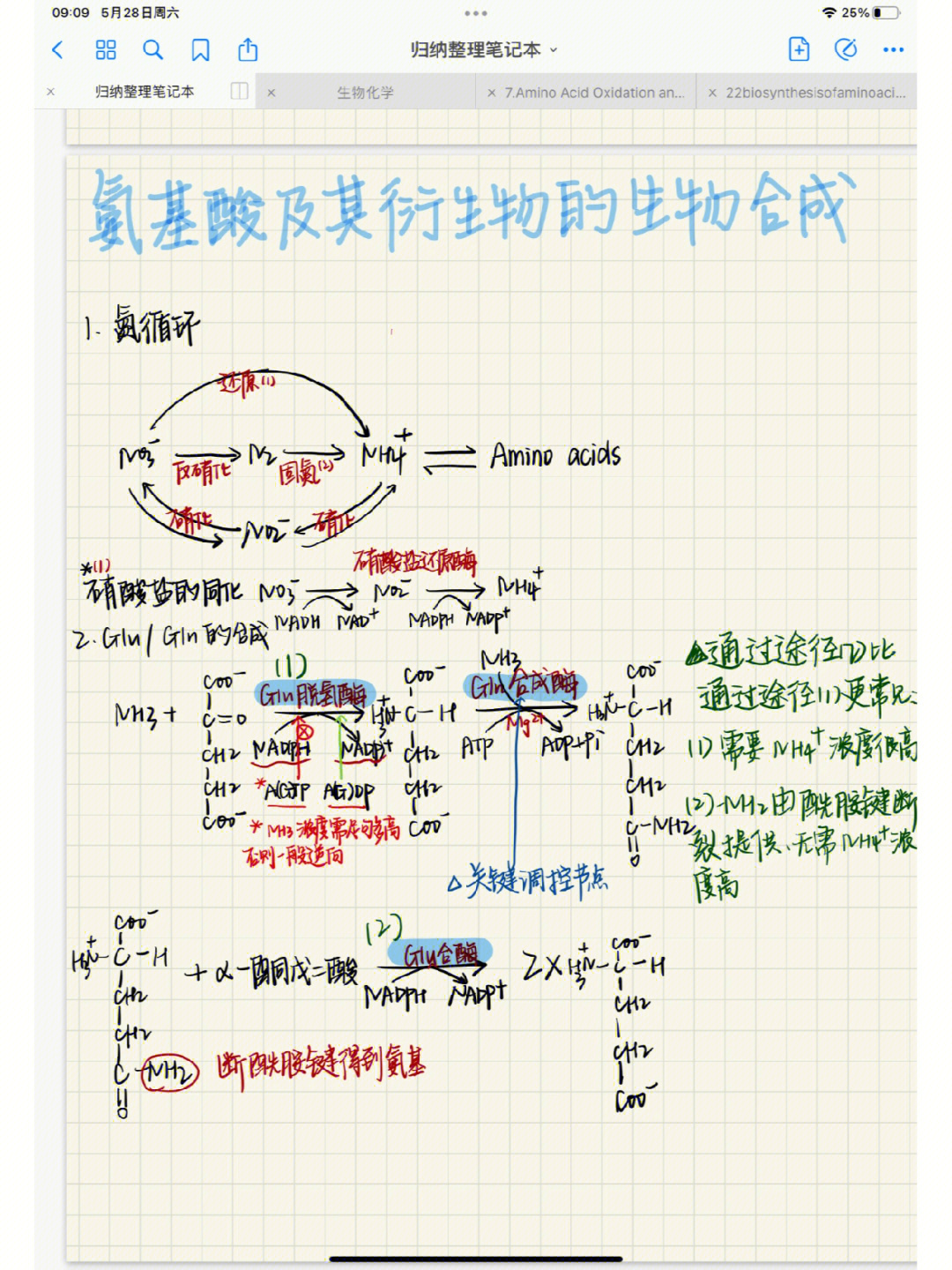 氨基酸合成图片