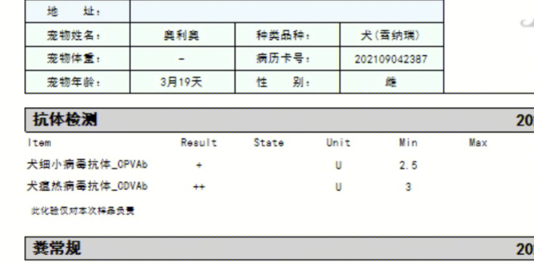 犬瘟抗体s3图片