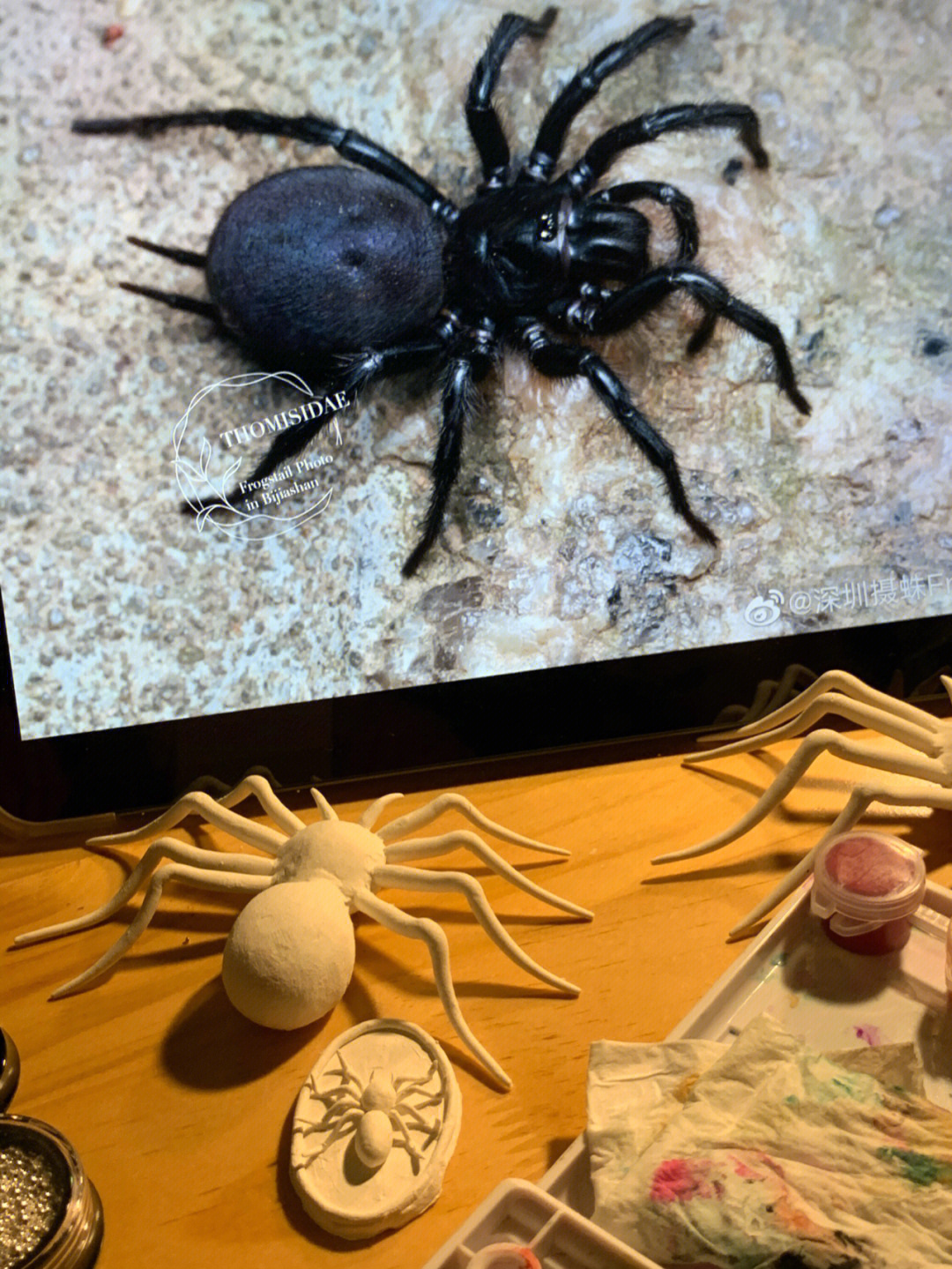 超轻粘土蜘蛛图片教程图片