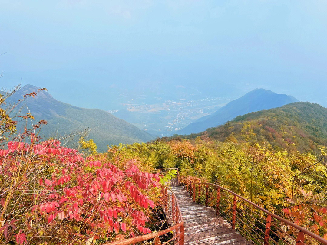 鸬鸟山泗溪村入口图片