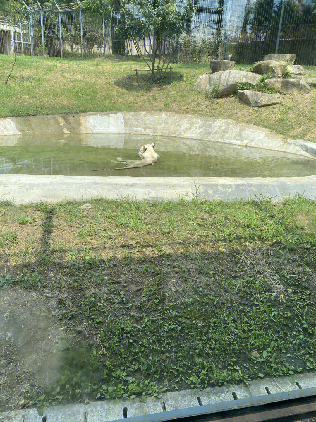 苏州上方山动物园地址图片