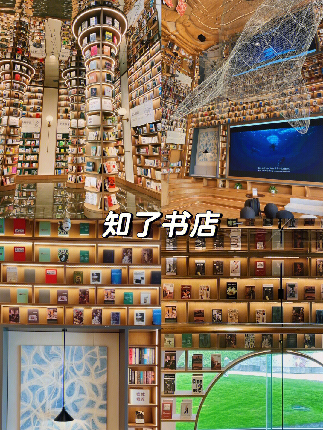 成都知了书店图片