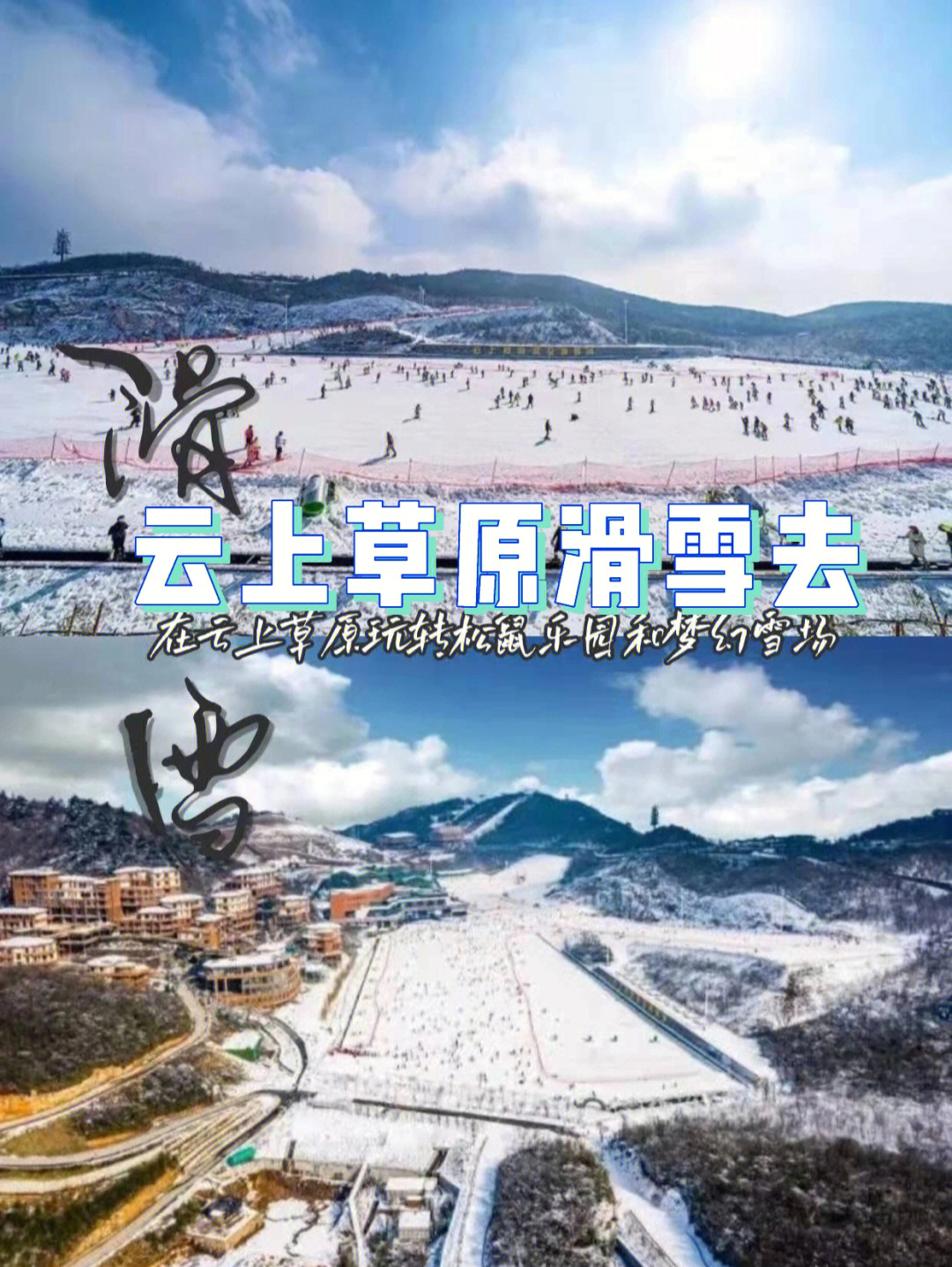 雪上云棠图片