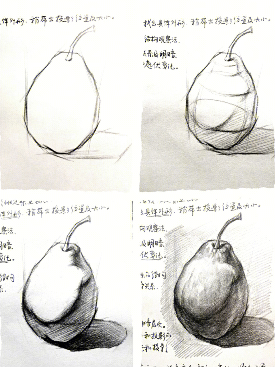梨子画法素描图片
