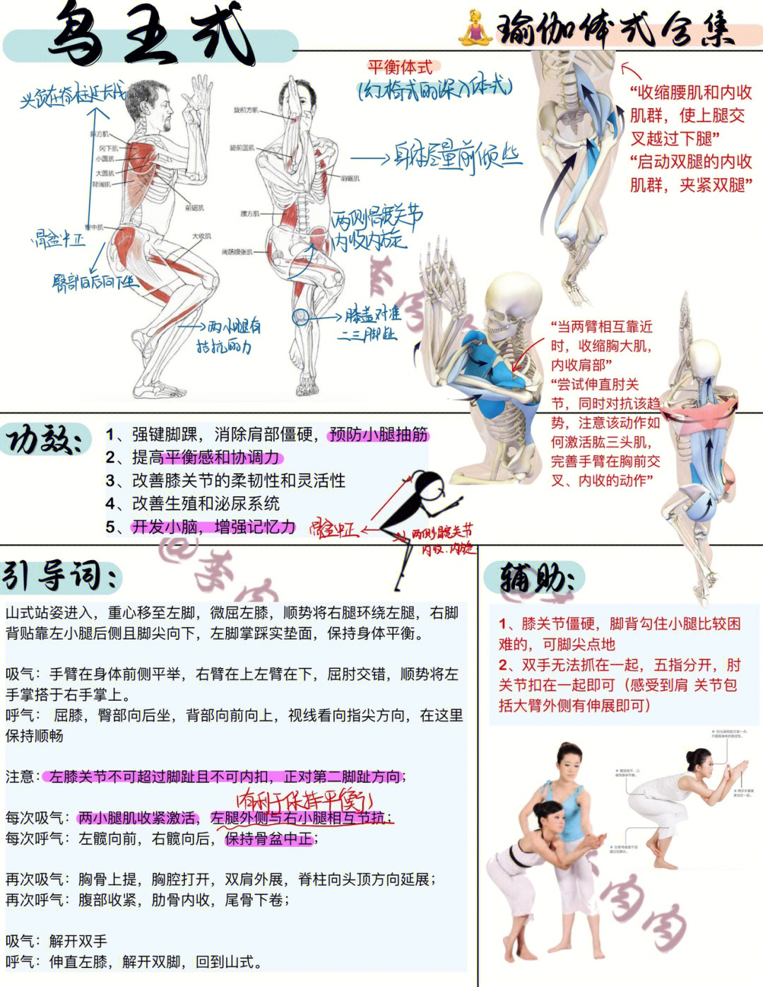 仰卧鸟王式图片