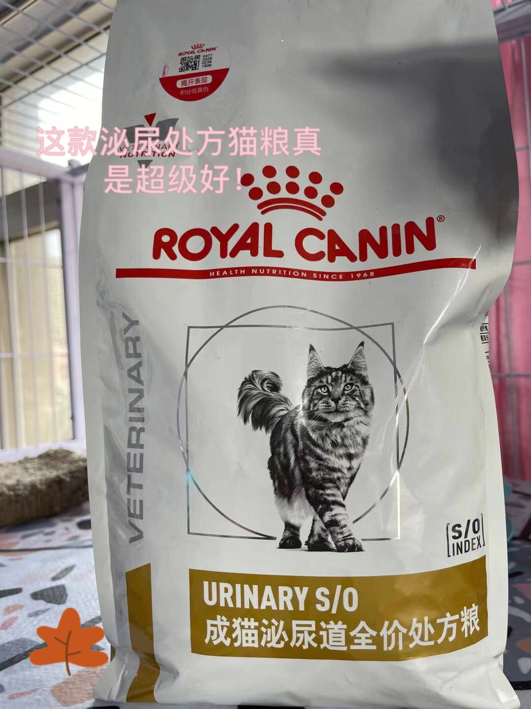 猫咪处方粮图片