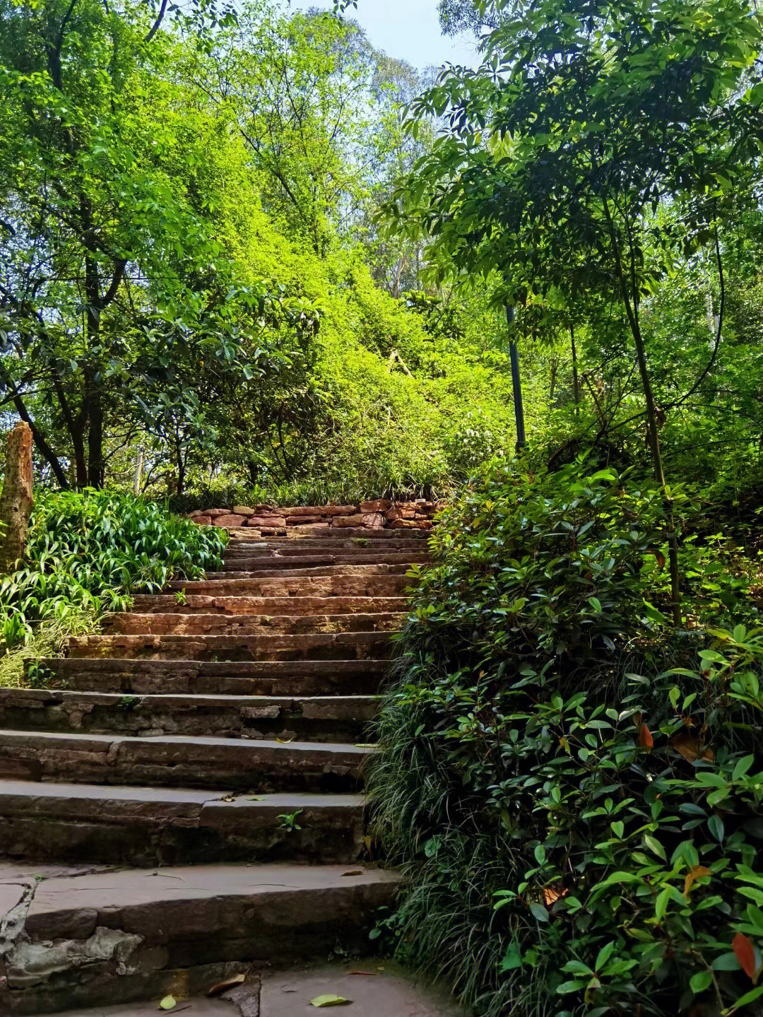 龙泉仰天窝健身步道图片