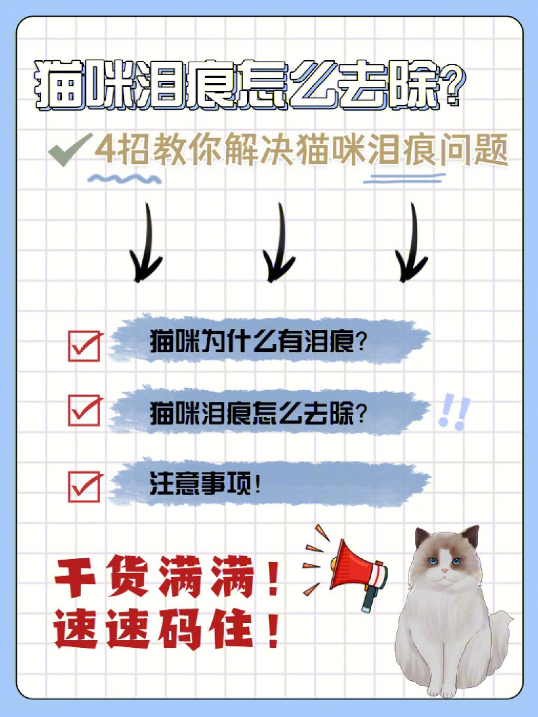 猫咪泪痕怎么去除4招教你解决泪痕问题