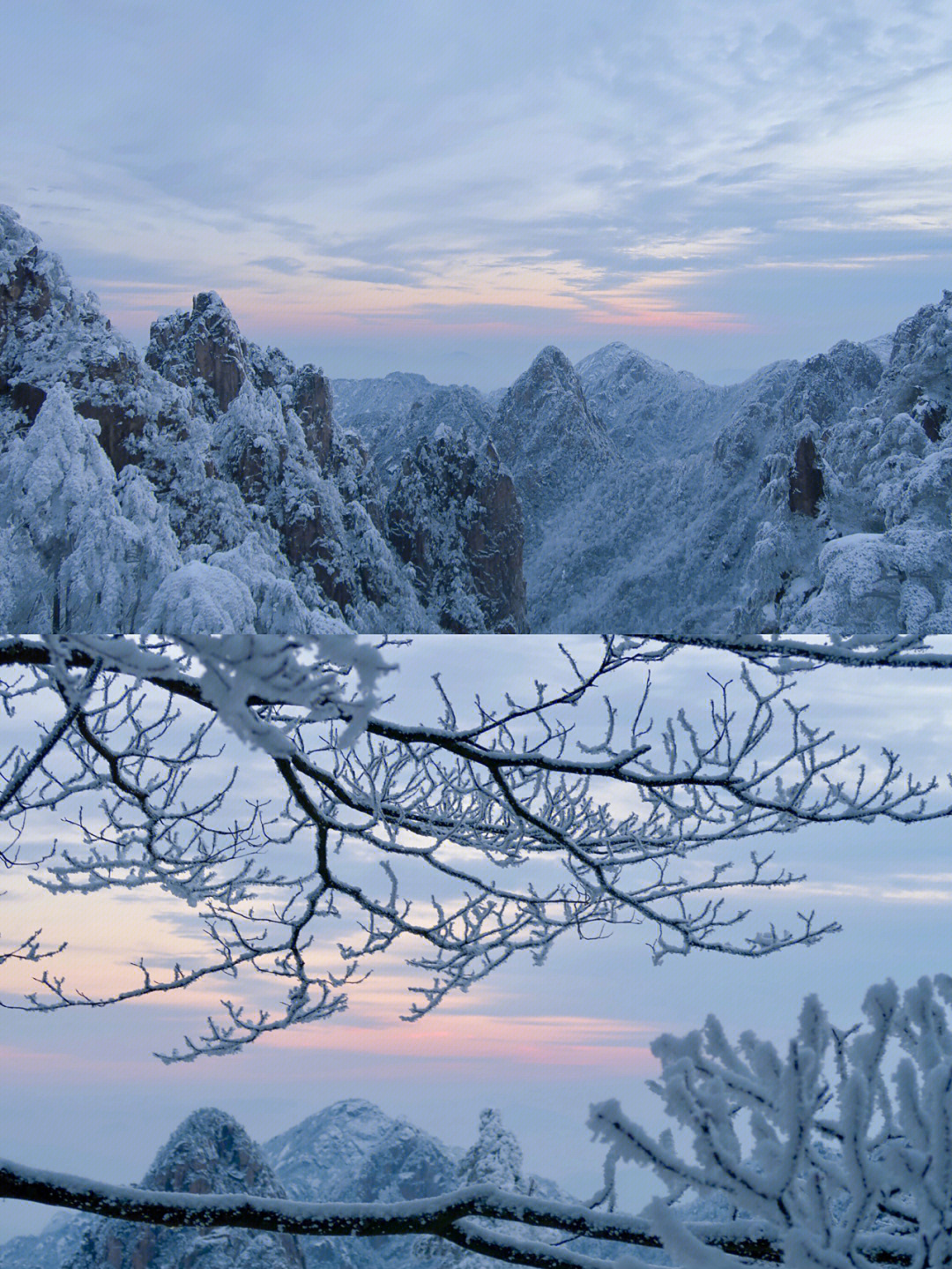 一下雪黄山便成了仙境黄山冬季游玩攻略