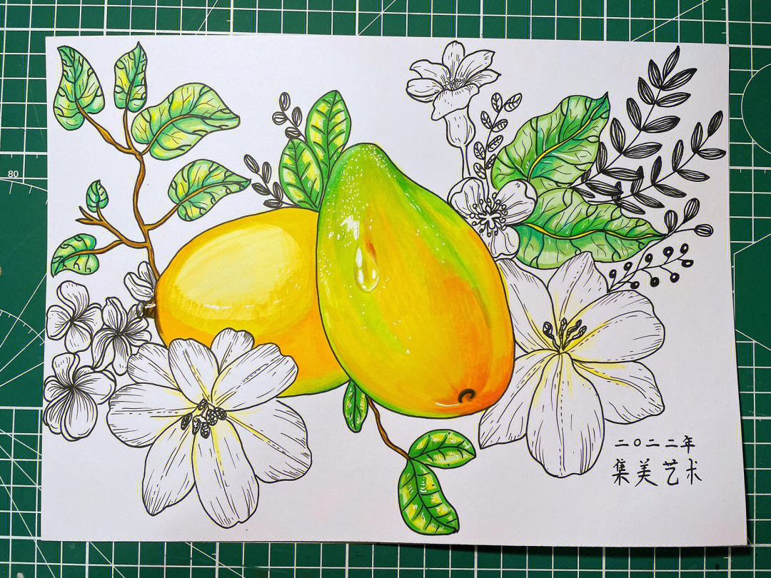 芒果的素描画法图片