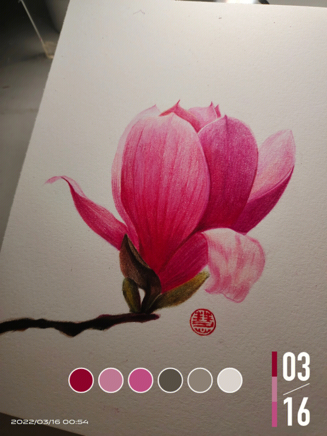 彩铅玉兰花的画法步骤图片