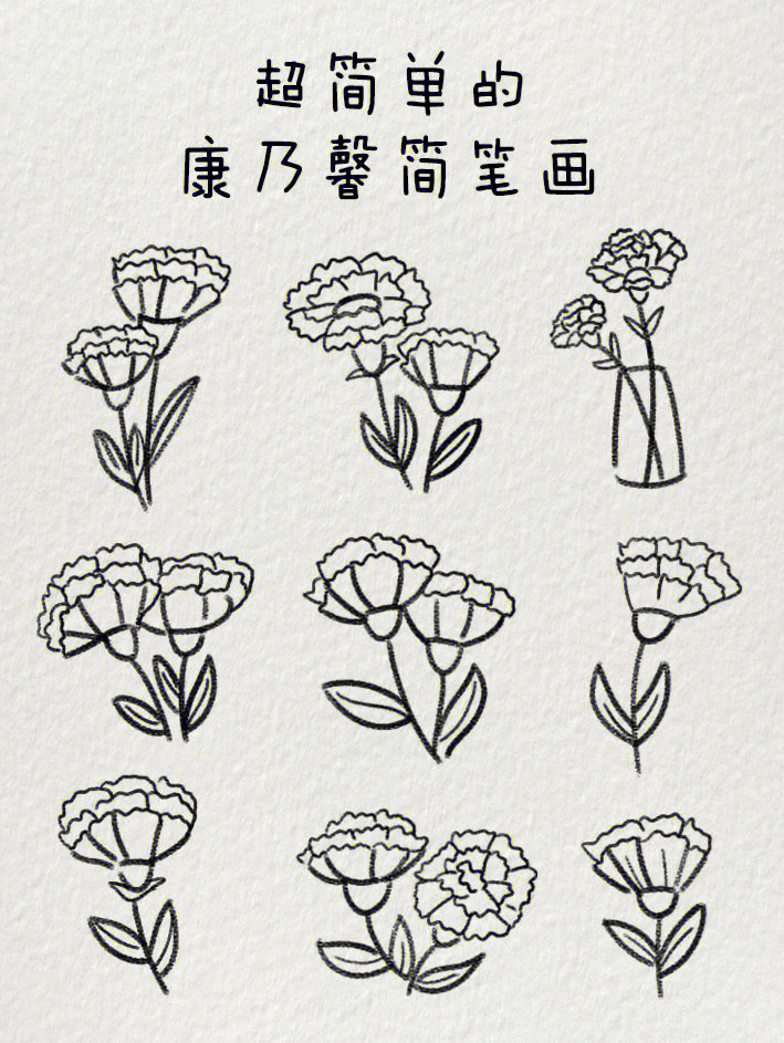 一束康乃馨的简笔画图片