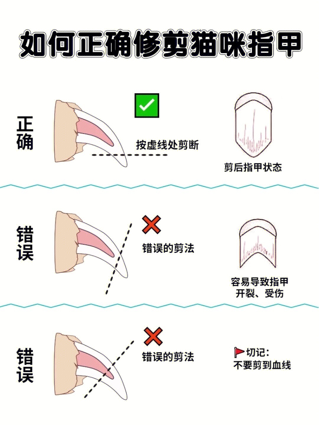 修剪指甲正确的方法图片