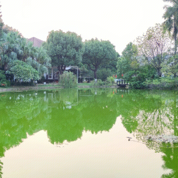 福州翠湖山庄图片