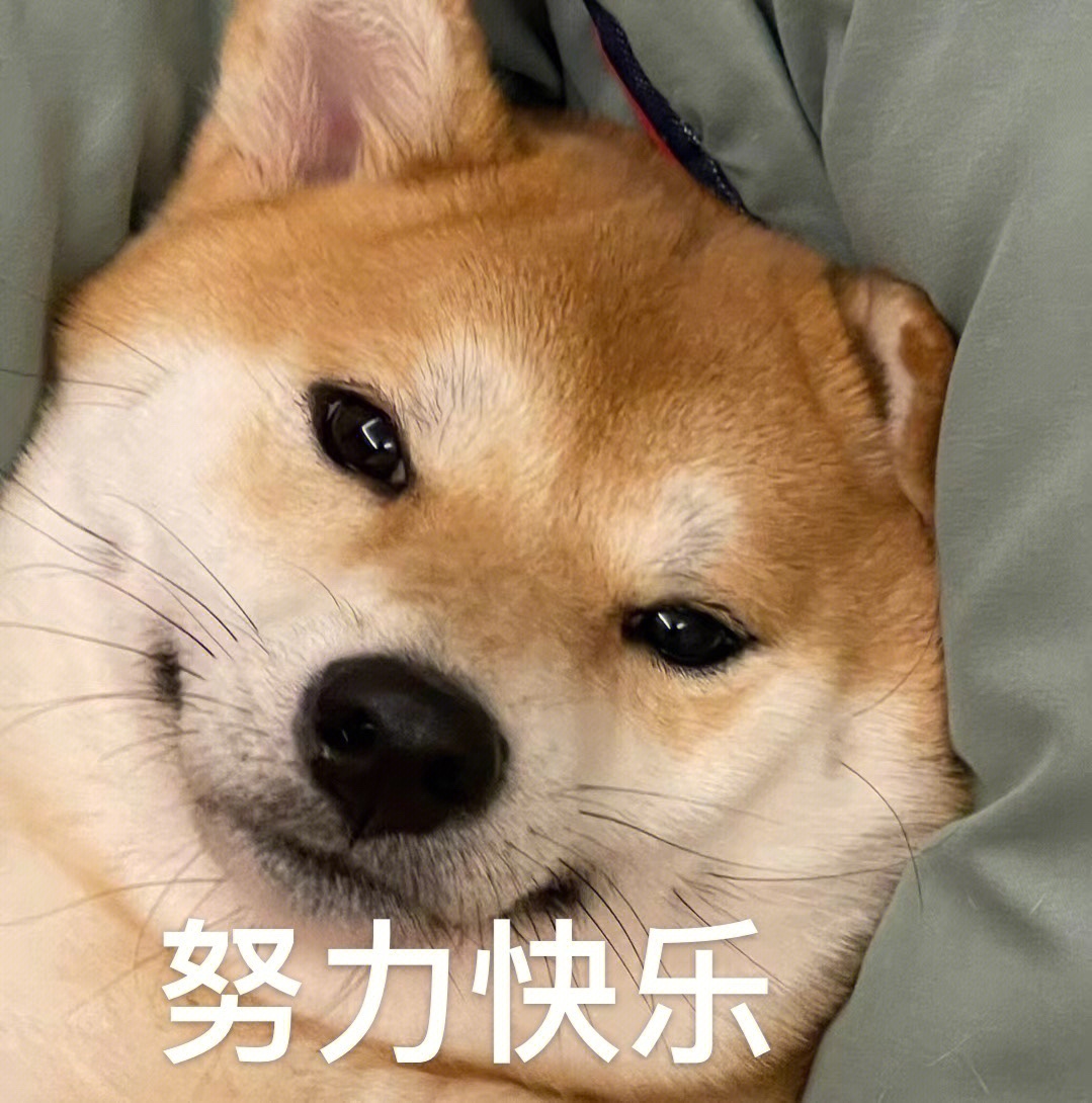 柴犬表情包