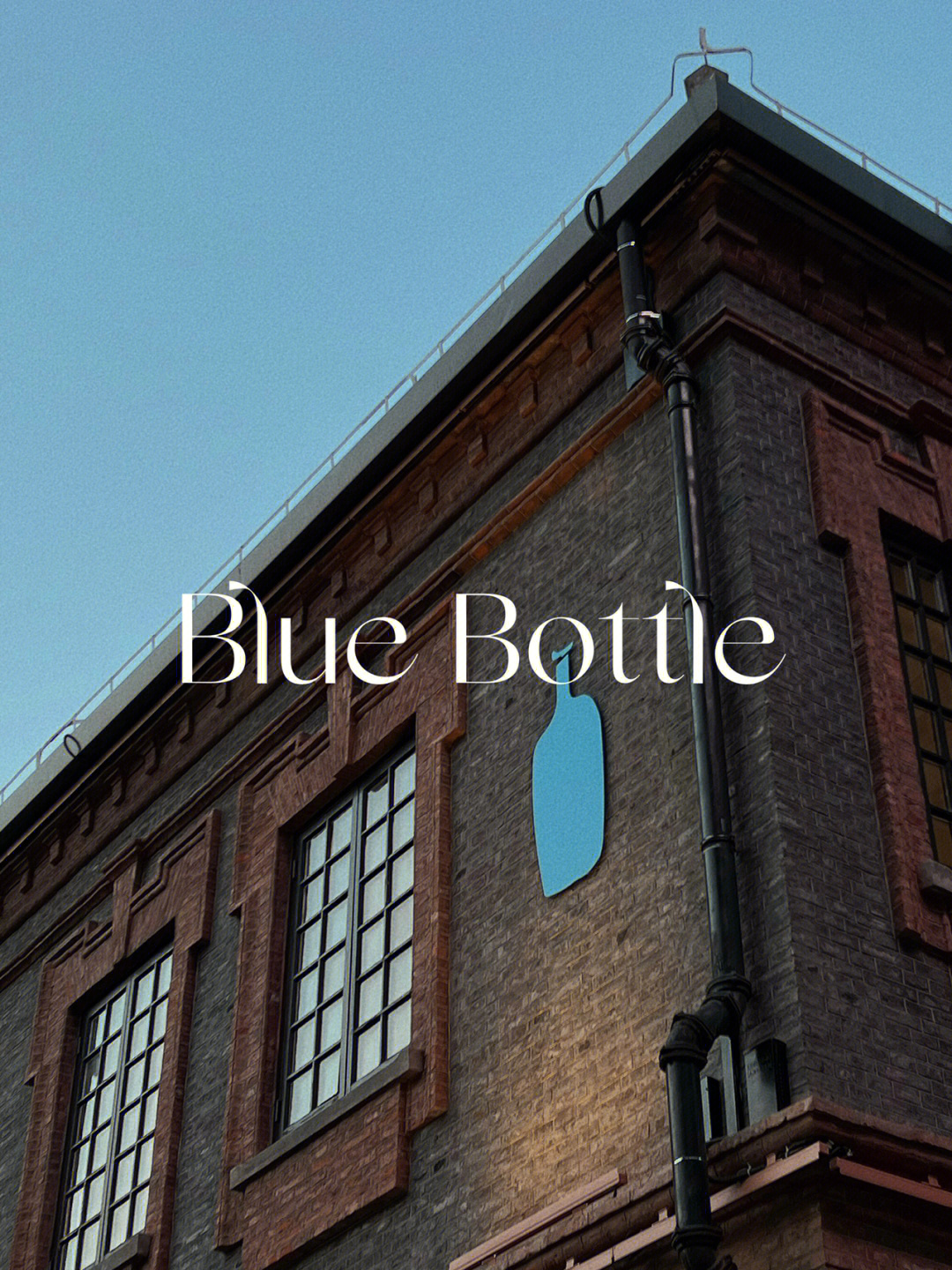 蓝瓶咖啡logo设计理念图片