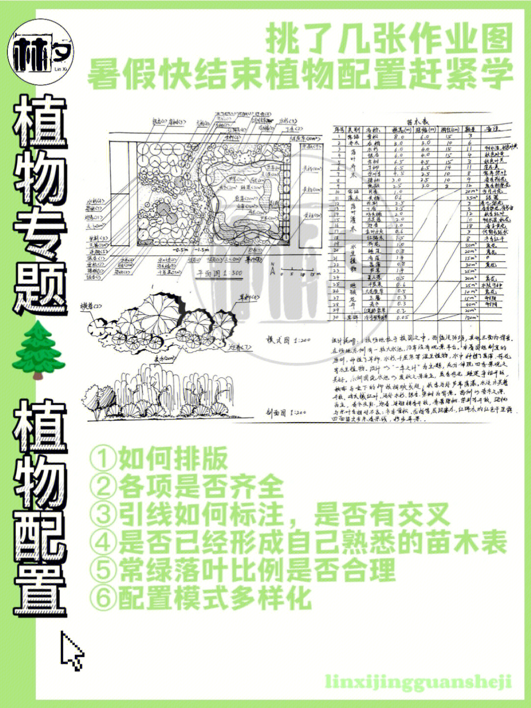 植物配置开课不久就这么强78好爱好爱