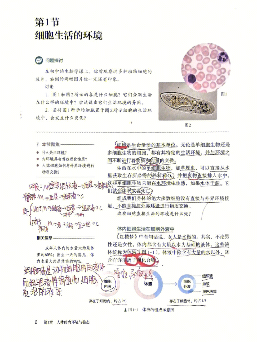 高中生物选修一笔记分享no1