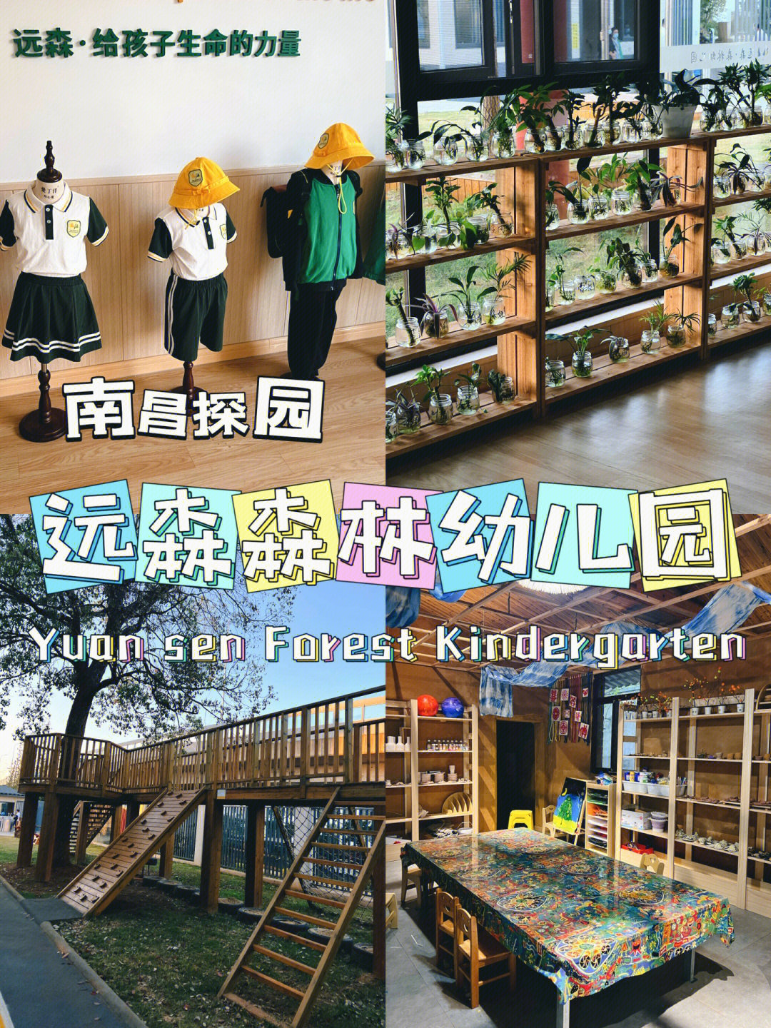 南昌公立幼儿园一览表图片