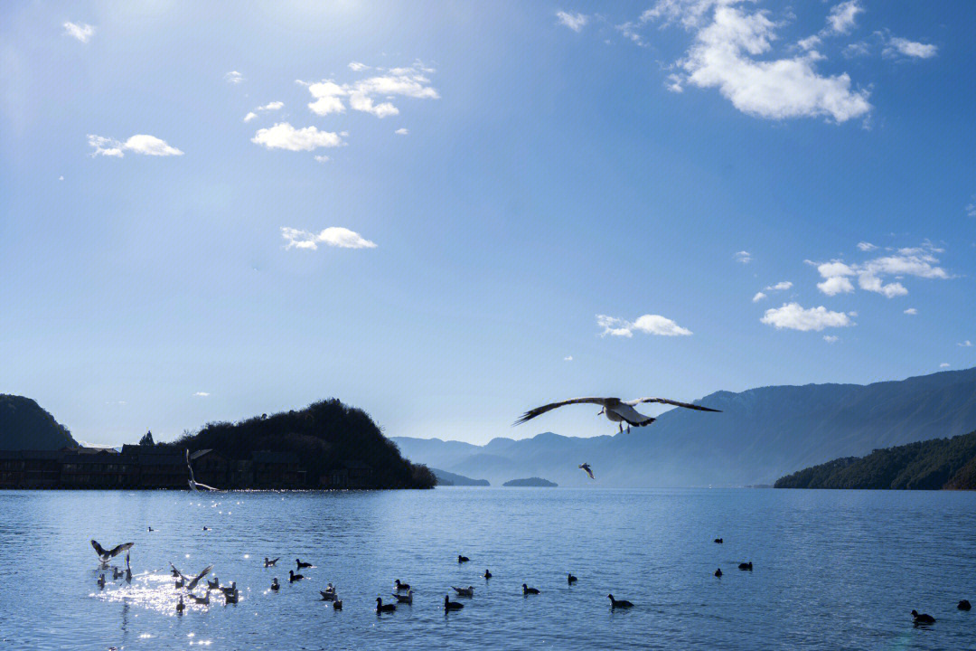 泸沽湖里格半岛江山如画绝绝子