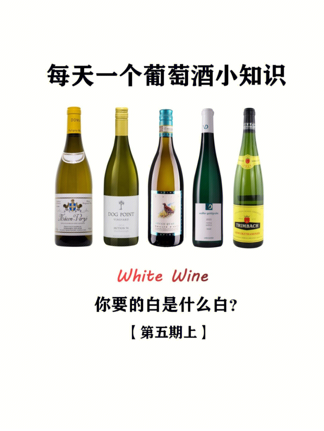 wine什么意思图片