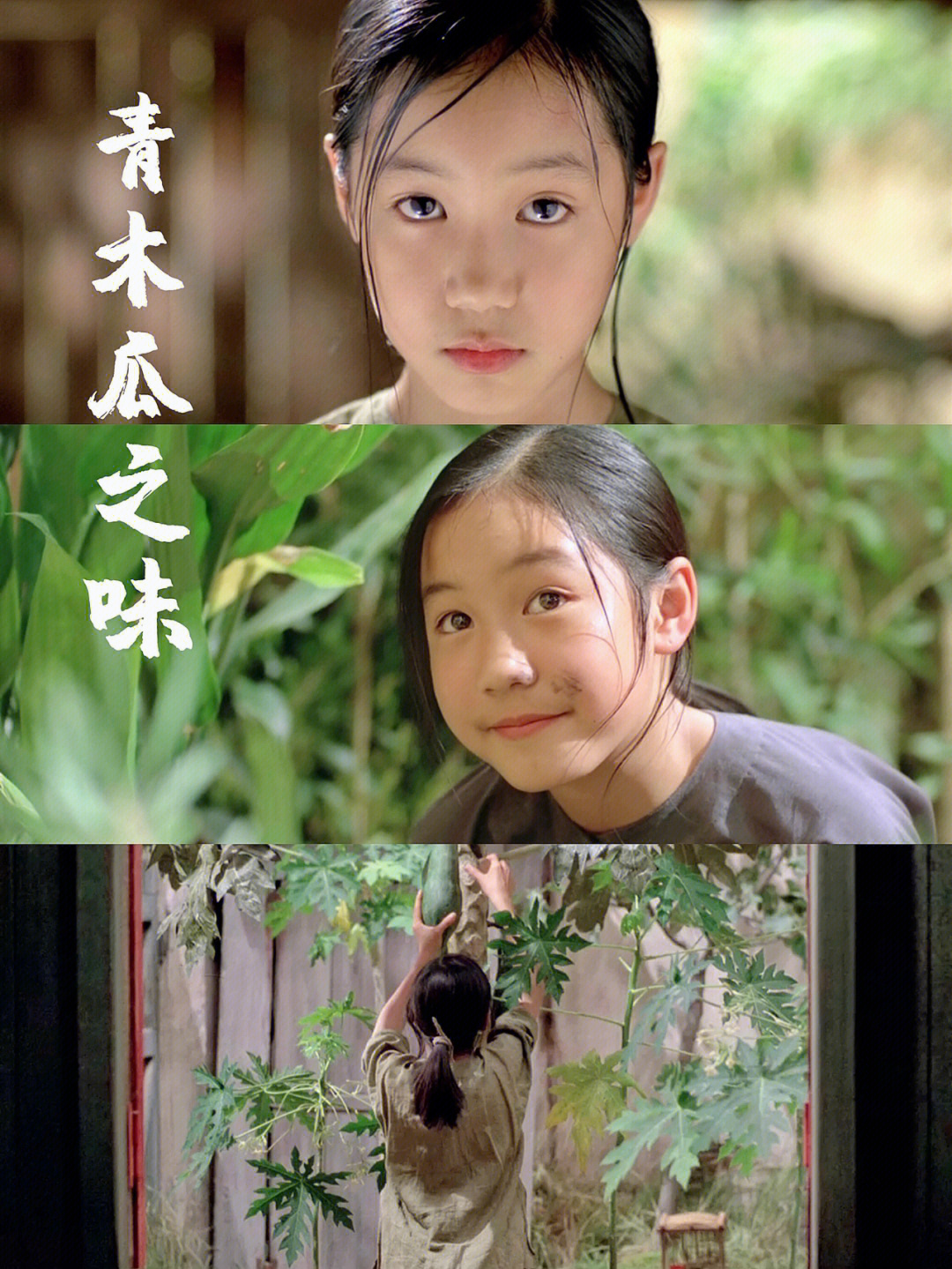 90越南《青木瓜之味》(1993)96片长104min,豆瓣7