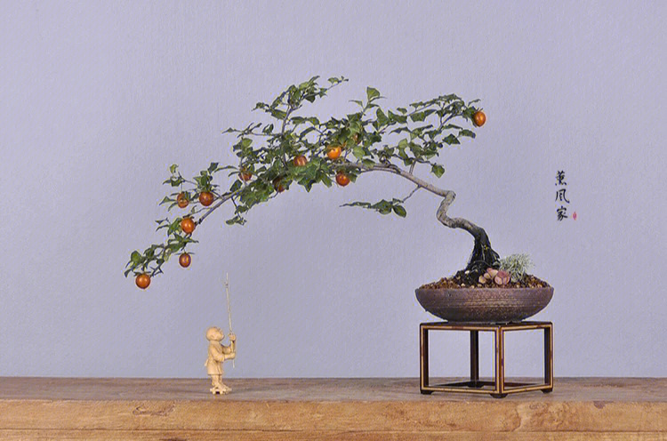 日本原盆老鸦柿