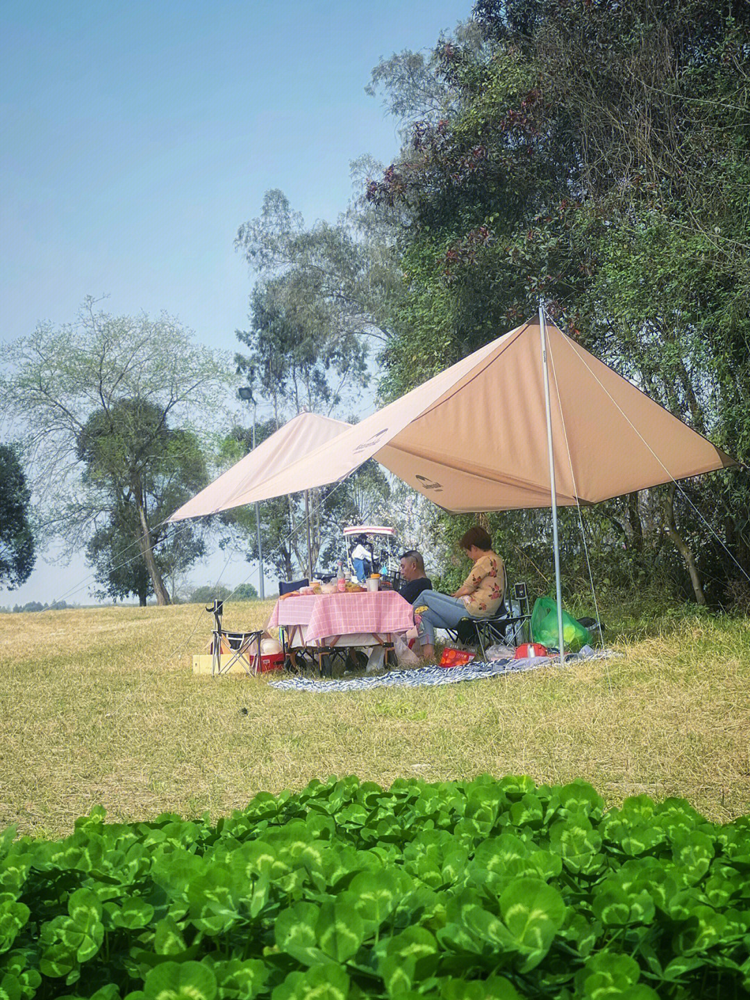 在波光粼粼的湖边,在鲜花盛开的绿地,带上美食,开始享受城市内的野营