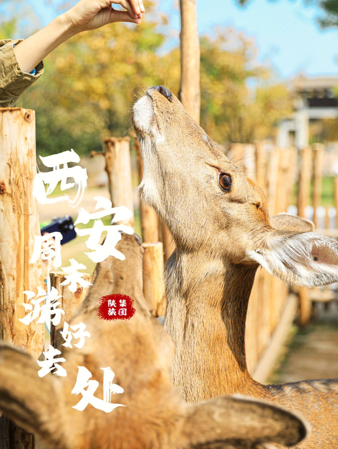 西安白鹿原景点门票图片