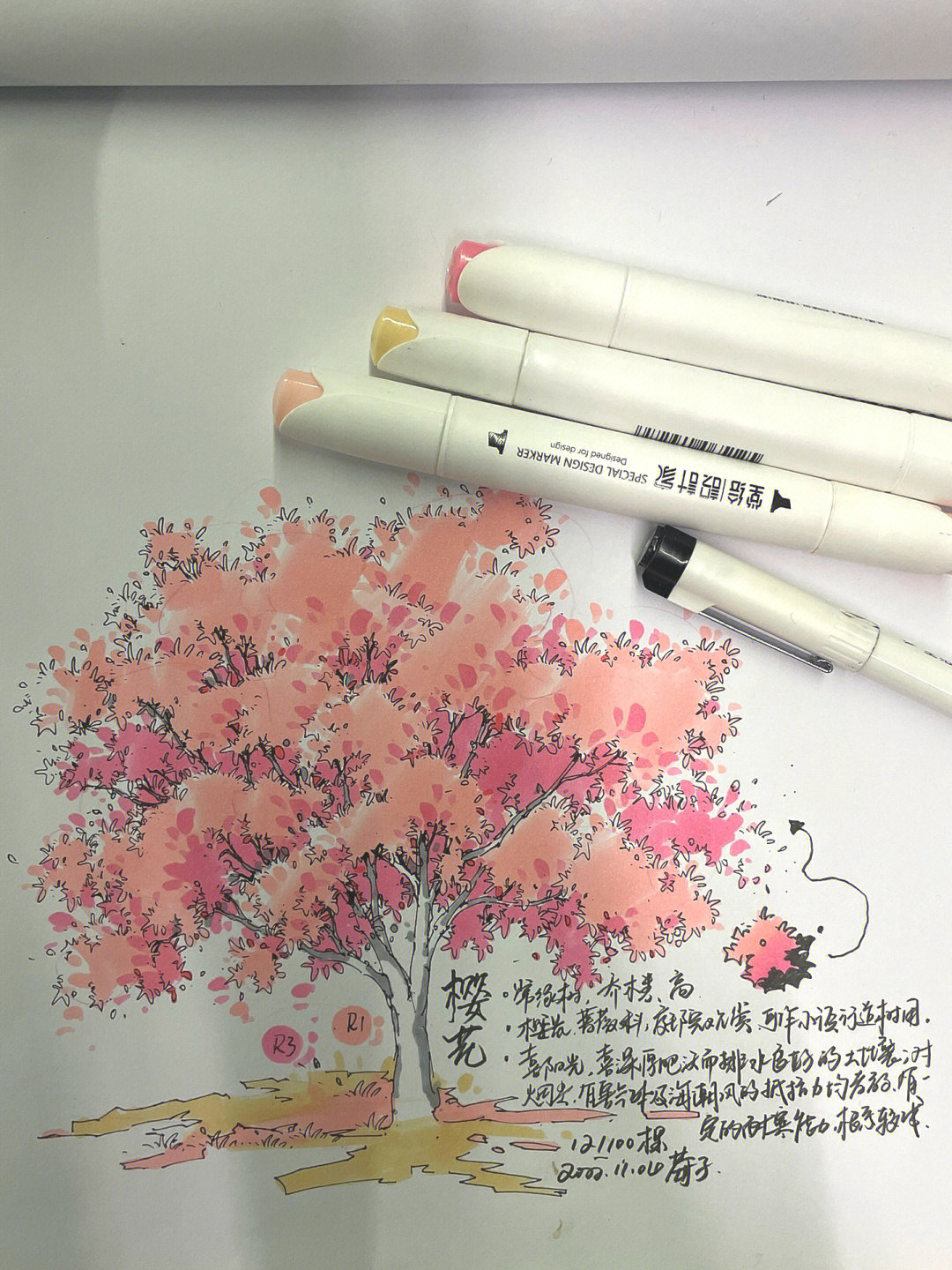 樱花树马克笔上色步骤画12100颗手绘植物