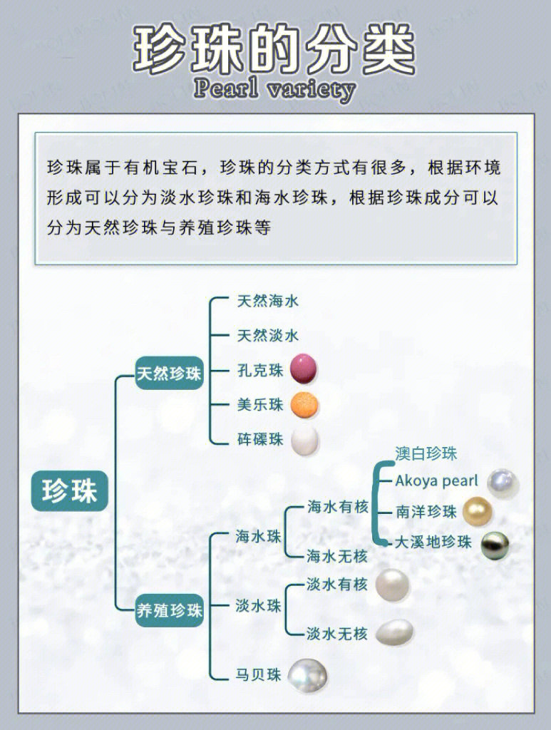 买珍珠前必读干货1珍珠的品类有哪些