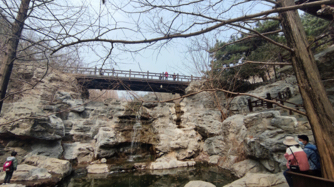 北京植物园元宝石图片