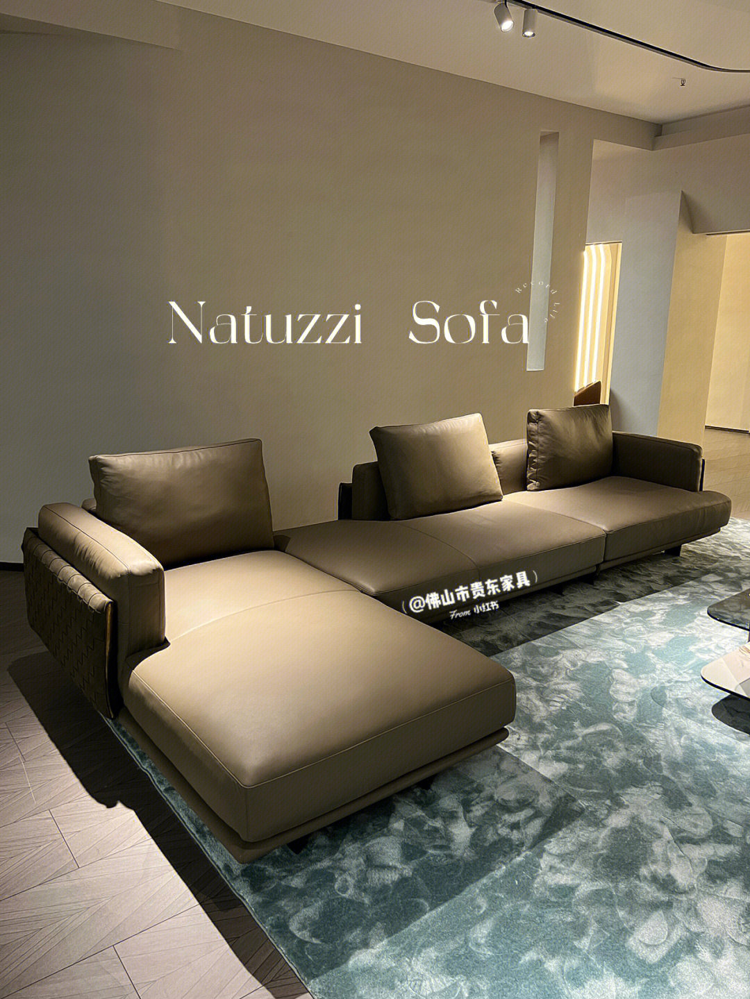 意式沙发推荐natuzzi现代简约风家具沙发