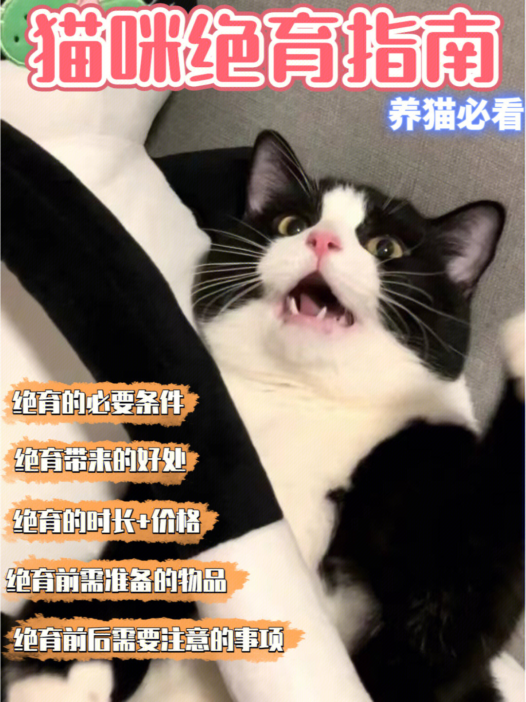 猫睾丸药用价值图片