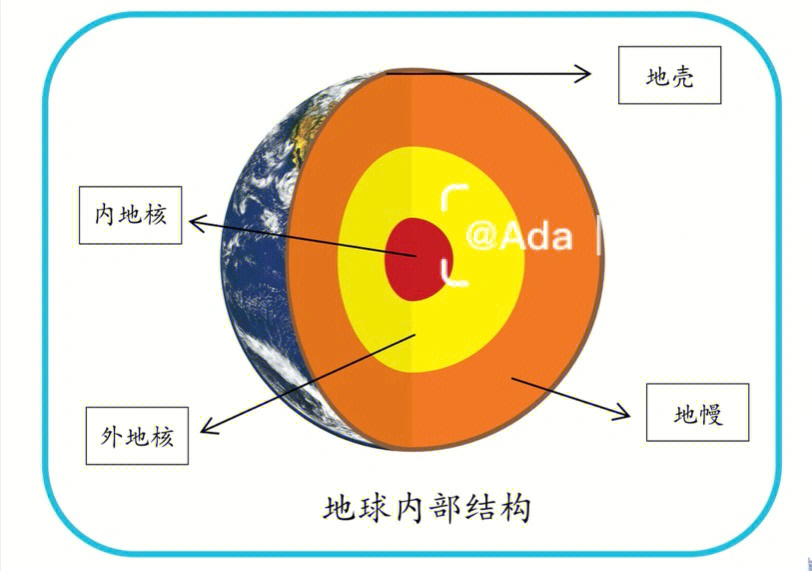 蒙氏腺体图片