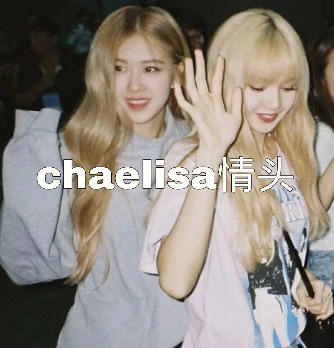 lisa和rose五花肉头像图片