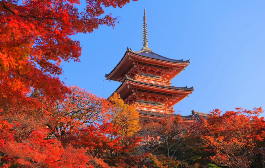 京都红叶必打卡清水寺